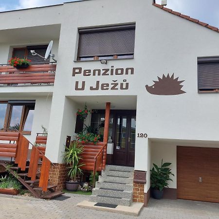 Penzion U Jezu - Ubytovani Pasohlávky Exterior photo
